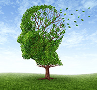 Can Alzheimer’s disease be prevented? :  http://health.sunnybrook.ca/memory-doctor/can-alzheimers-disease-prevented/