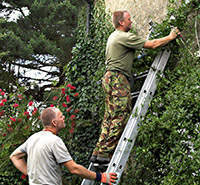 Men on a ladder