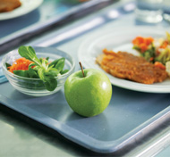 Nutrition after surgery : http://health.sunnybrook.ca/food-nutrition/after-surgery-recovery/