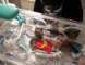 Baby dressed as SuperWoman lays in isolette in NICU