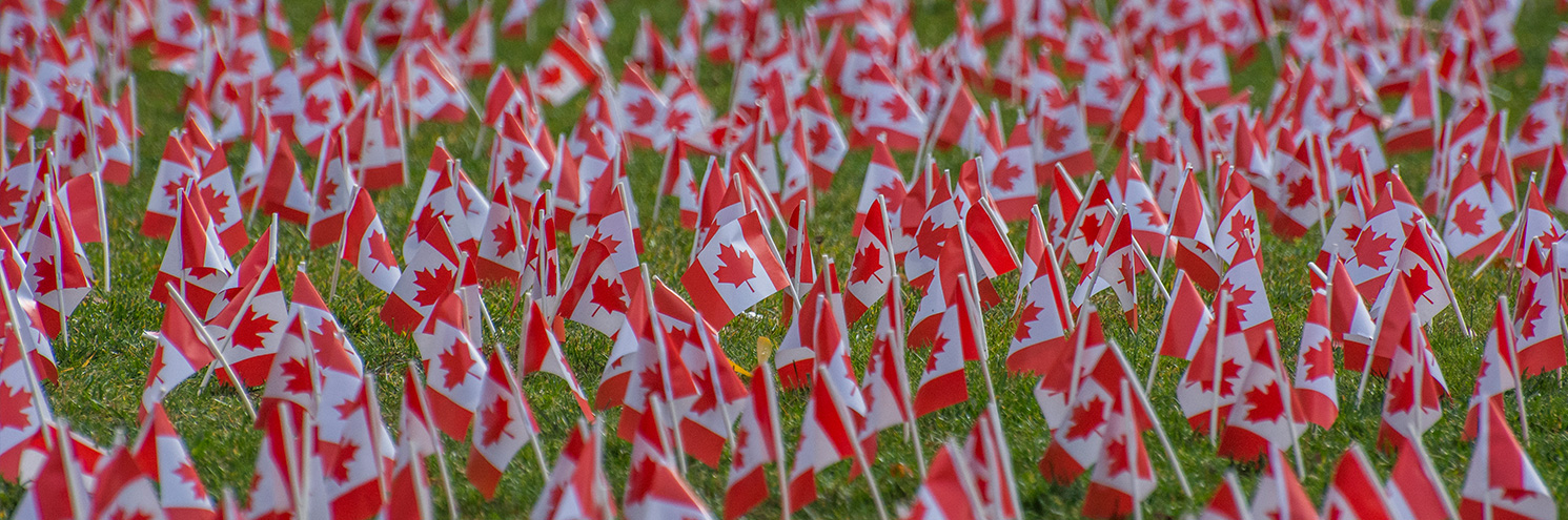 Flags planted on the ground on Remembrance Day