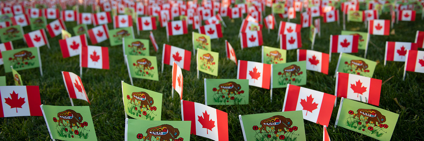Flags planted on the ground on Remembrance Day