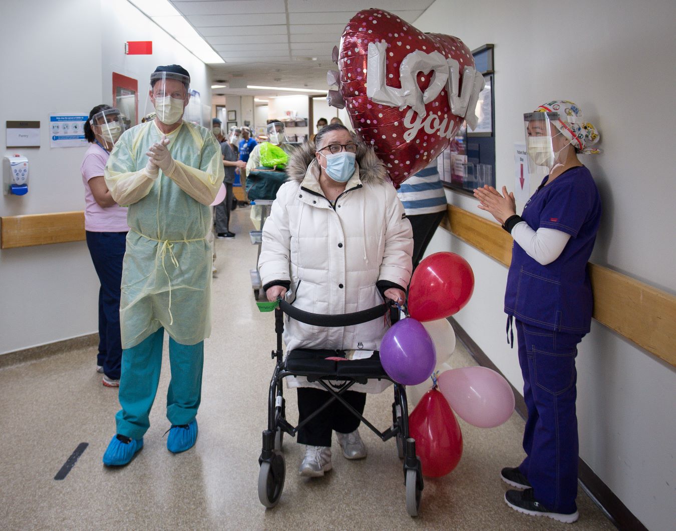 Patient with walker with balloons attached, walks down hospital hall with hospital staff clapping.