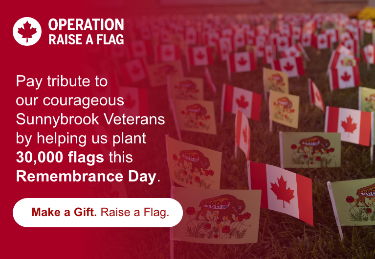 Make a gift. Raise a Flag. Support our veterans