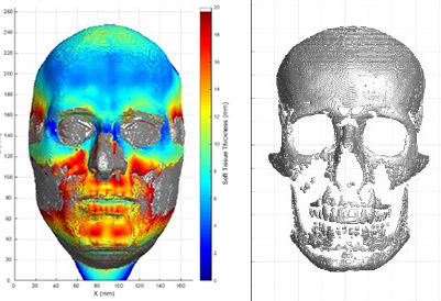 A side-by-side image of a soft-tissue depth map and an inferred skull.