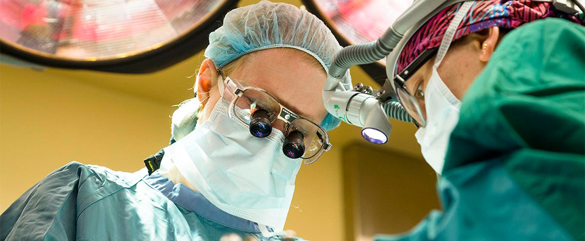Dr. Natalie Coburn performing surgery
