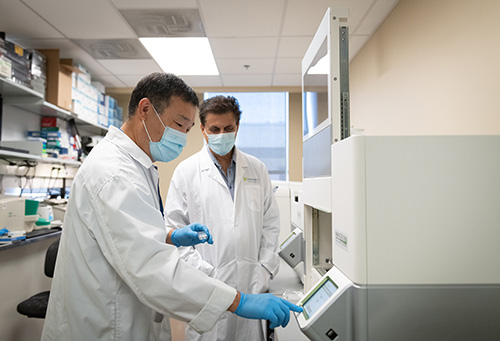 Scientists using the nanoString nCounter FLEX Analysis System