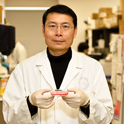 Dr. Burton Yang