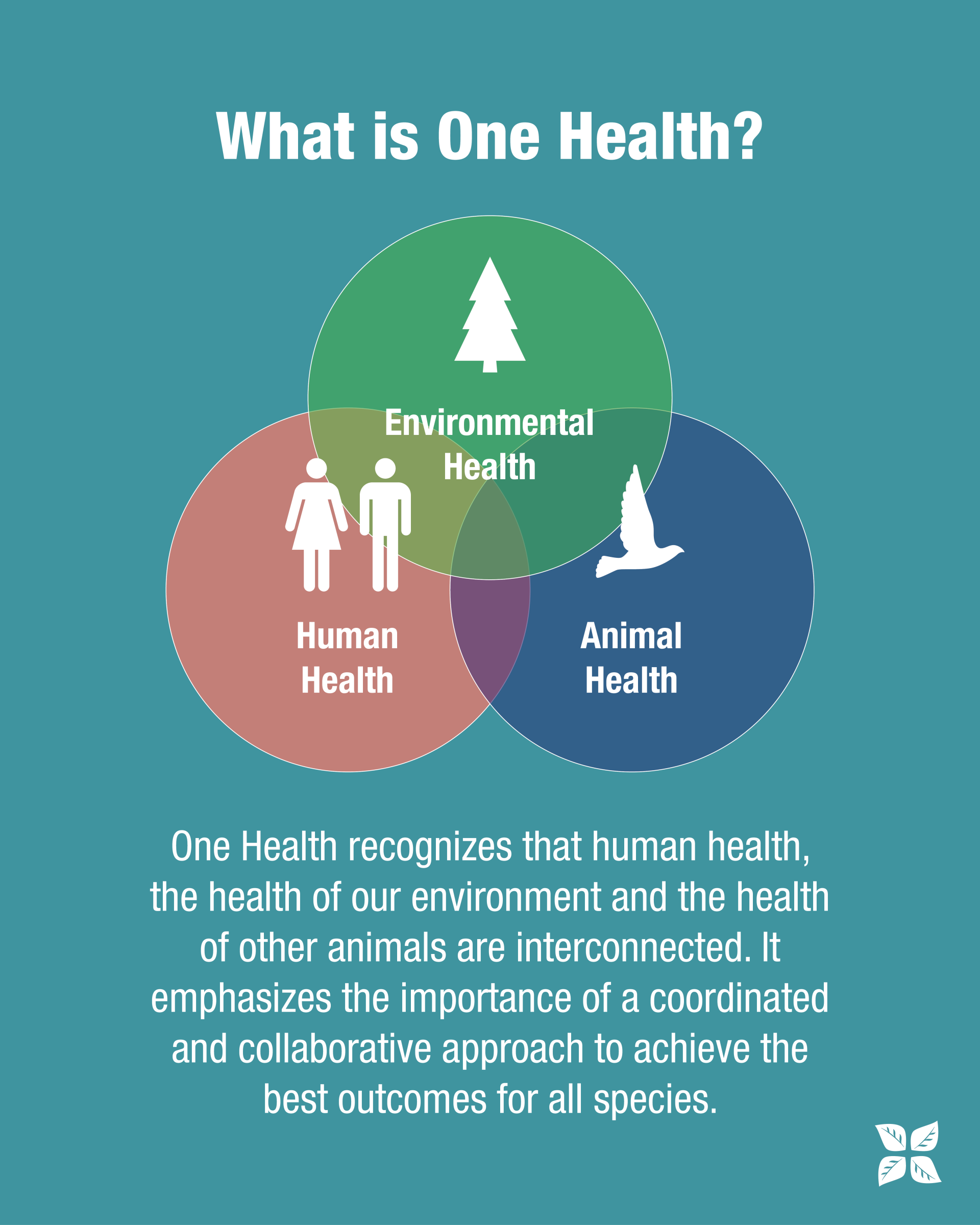 What is One Health? Environmental Health, Human Health, Animal Health. One Health recognizes that human health, the health of our environment and the health of other animals are interconnected. It emphasizes the importance of a coordinated and collaborative approach to achieve the best outcomes for all species.