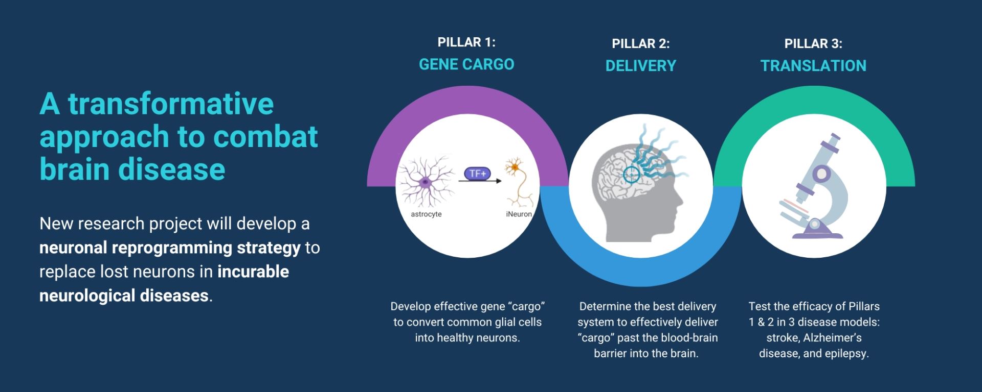 A transformative approach to combat brain disease. New research project will develop a neuronal reprogramming strategy to replace lose neurons in incurable neurological diseases. Pillar 1: Gene Cargo. Develop effective gene 