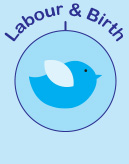 Labour and birth