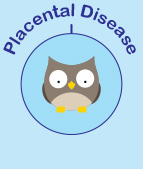 Placental disease