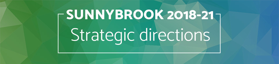 Sunnybrook 2018-21: Strategic directions