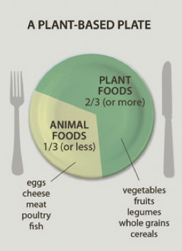 A plant based plate, showing two thirds occupied by plant foods, including vegetables, fruit, legumes, whole grains and cereals. The remaining third is occupied by eggs, cheese, meat, poultry or fish.
