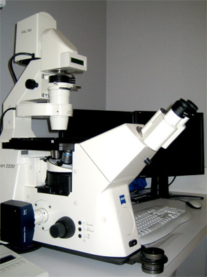 Cytometry - Imaging - Scopes - Sunnybrook Research Institute