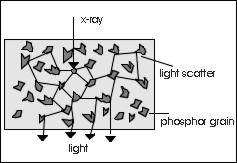 Phosphor screen
